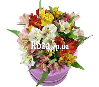 Bouquet of alstroemeria in a box Bouquet of alstroemeria in a box