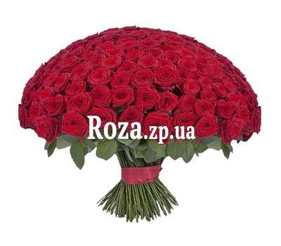 Elite bouquet of 201 red roses