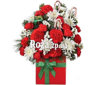 Рождественские цветы в коробке Рождественские цветы в коробке