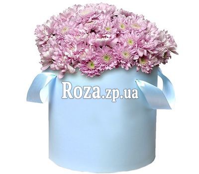 Pink chrysanthemums in a hat box Pink chrysanthemums in a hat box