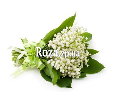 Bouquet of medium-sized lily of the valley Bouquet of medium-sized lily of the valley
