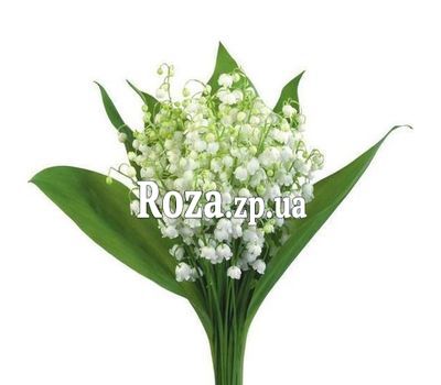 ​Маленький букет из ландышей