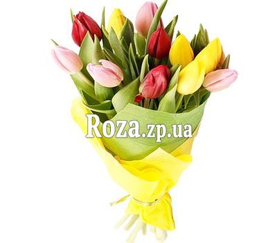 13 тюльпанів 13 тюльпанів