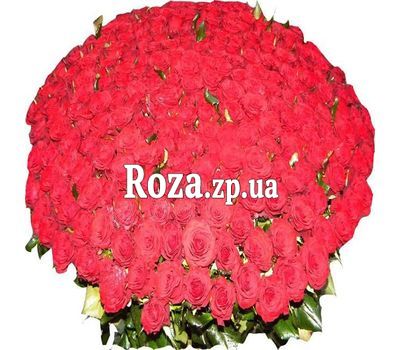 Bouquet of 501 red roses Bouquet of 501 red roses