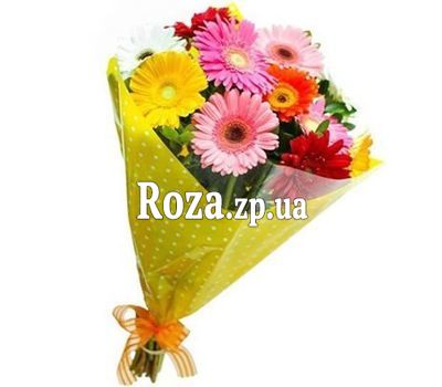 Букет из 11 гербер Букет из 11 гербер