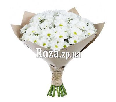 Букет из 11 ромашковых хризантем Букет из 11 ромашковых хризантем