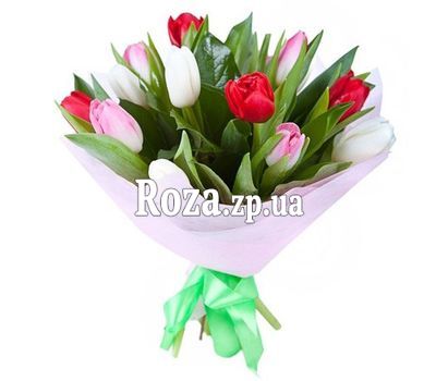 Bouquet of 15 multicolored tulips Bouquet of 15 multicolored tulips