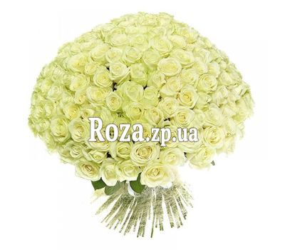 251 белая роза 251 белая роза