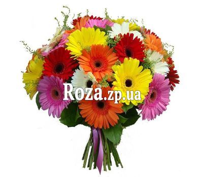 Букет из 29 гербер Букет из 29 гербер