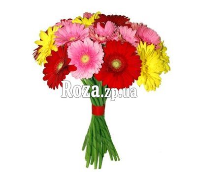 Букет из 15 гербер Букет из 15 гербер