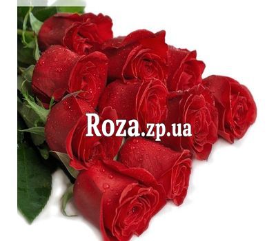 Букет из 11 метровых красных импортных роз