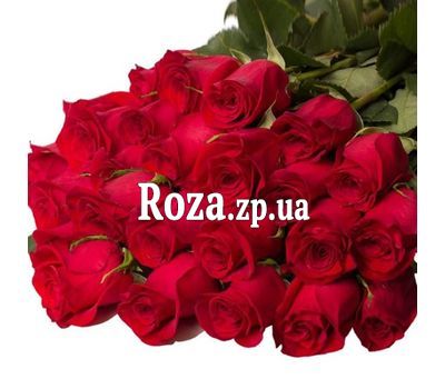 Букет з 25 метрових червоних імпортних троянд
