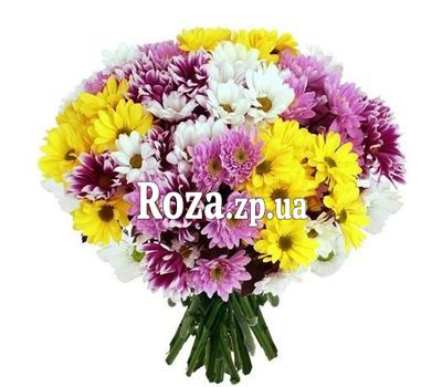 Букет з 21 хризантеми Букет з 21 хризантеми