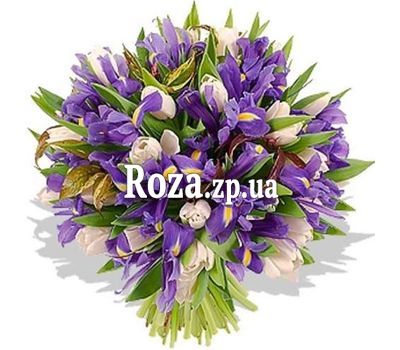 Букет из 35 ирисов и 16 тюльпанов Букет из 35 ирисов и 16 тюльпанов