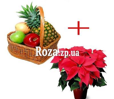 Fruit basket and poinsettia Fruit basket and poinsettia