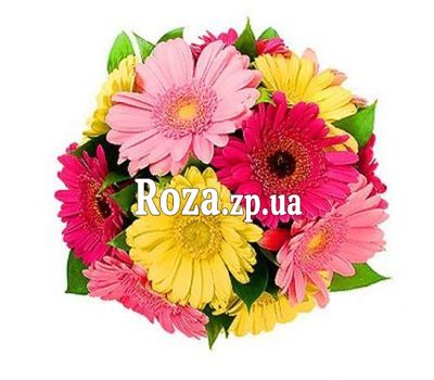 Букет з 13 гербер Букет з 13 гербер