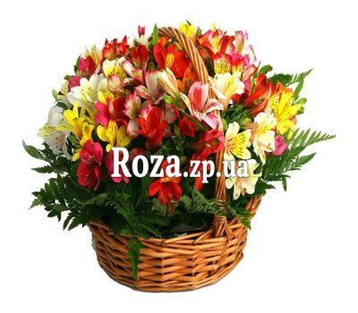 Корзина цветов из 25 альстромерий Корзина цветов из 25 альстромерий
