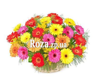 Корзина цветов из 25 гербер Корзина цветов из 25 гербер