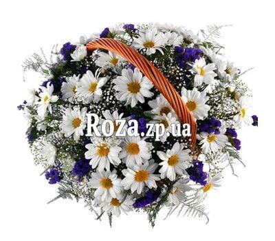 Кошик квітів з 9 ромашковою хризантеми Кошик квітів з 9 ромашковою хризантеми