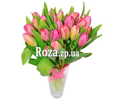 Букет из 25 тюльпанов Букет из 25 тюльпанов