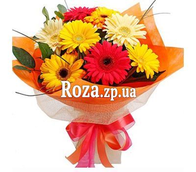 Букет из 9 гербер Букет из 9 гербер