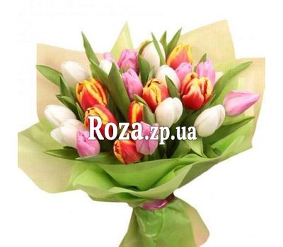 Bouquet of 27 Tulips