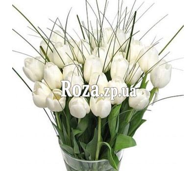 Bouquet of 35 Tulips