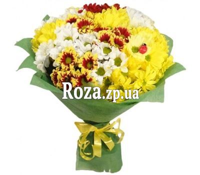 Bouquet of 13 chrysanthemums Bouquet of 13 chrysanthemums
