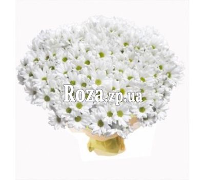 Букет из 51 ромашковой хризантемы Букет из 51 ромашковой хризантемы