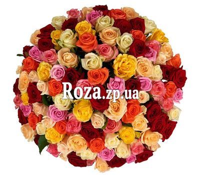 Multicolored roses per piece Multicolored roses per piece